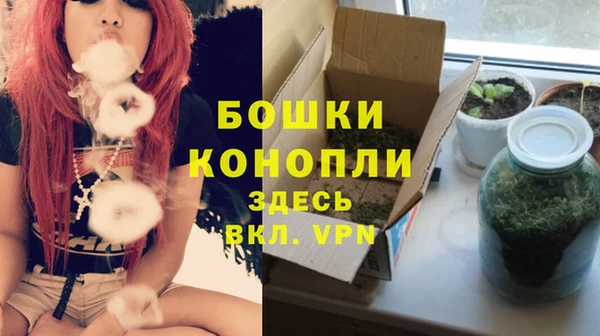apvp Белокуриха