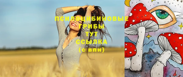 apvp Белокуриха