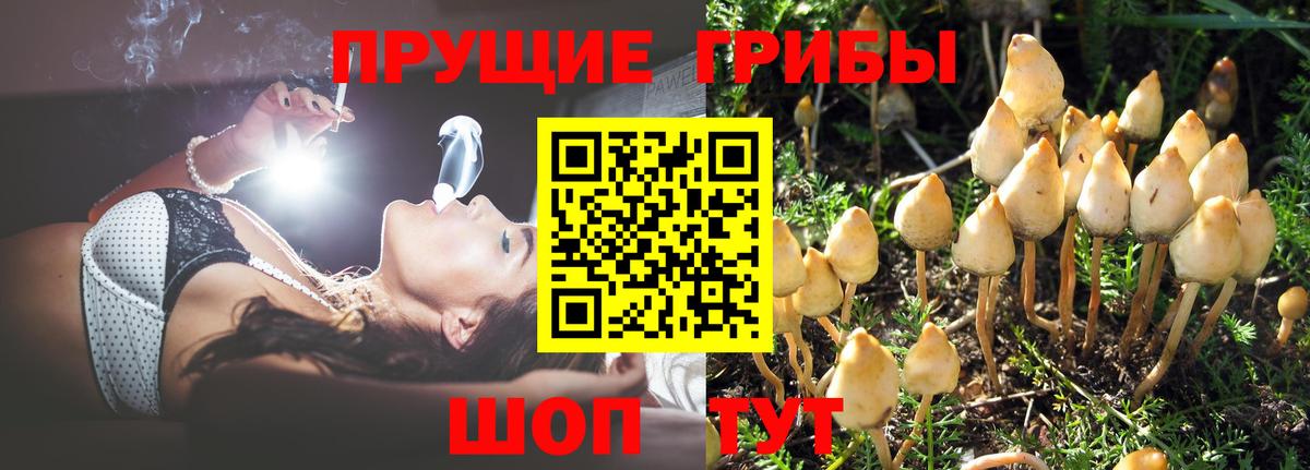 Буйнакск  Галлюциногенные грибы мухоморы  Галлюциногенные грибы Psilocybe  Вход с VPN 